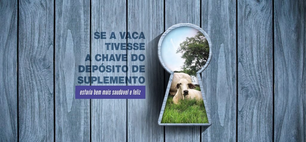 chave_do_deposito_asbram