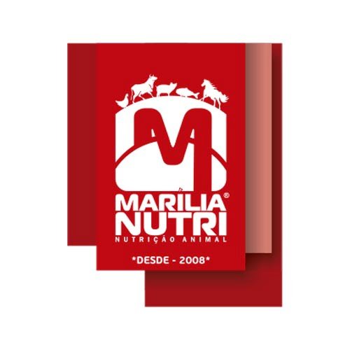 1_0000s_0026_Marilia