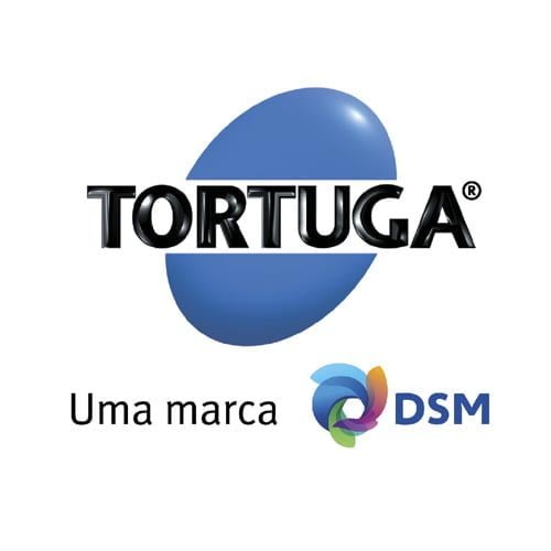 1_0000s_0050_Tortuga DSM