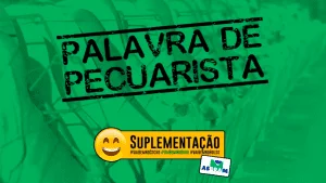 Palavra de Pecuarista