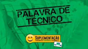 Palavra de Técnico
