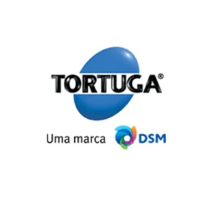 dsm500