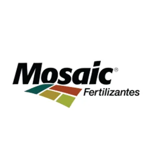 mosaic500