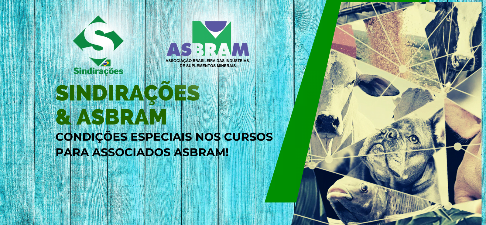 banner_topo_sindiracoes4