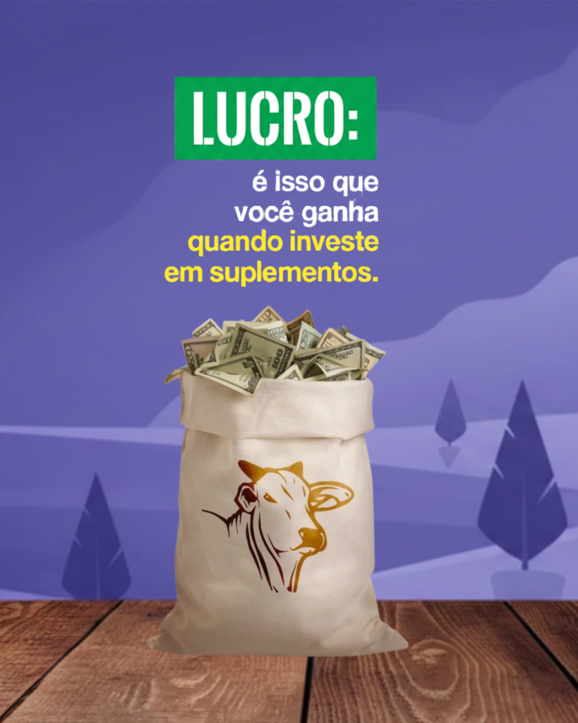 lucro1