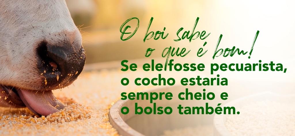 o-bio-sabe-o-que-e-bom