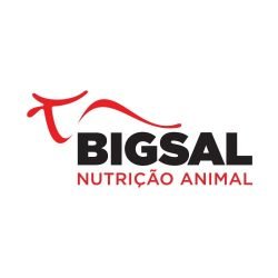 https://www.bigsal.com.br/