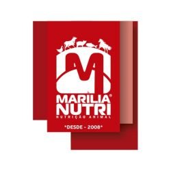 1_0000s_0026_Marilia