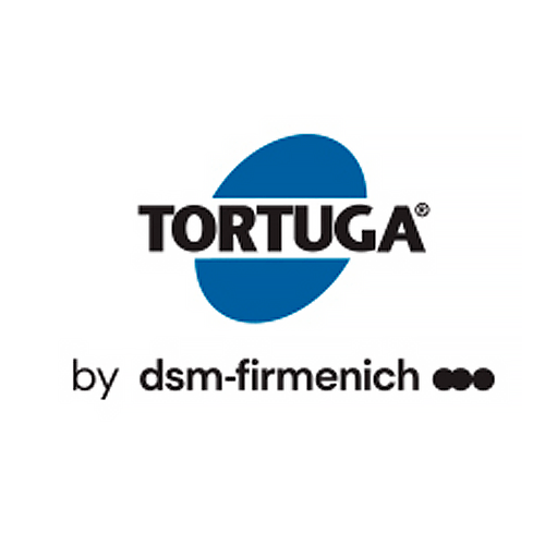 tortuga092023