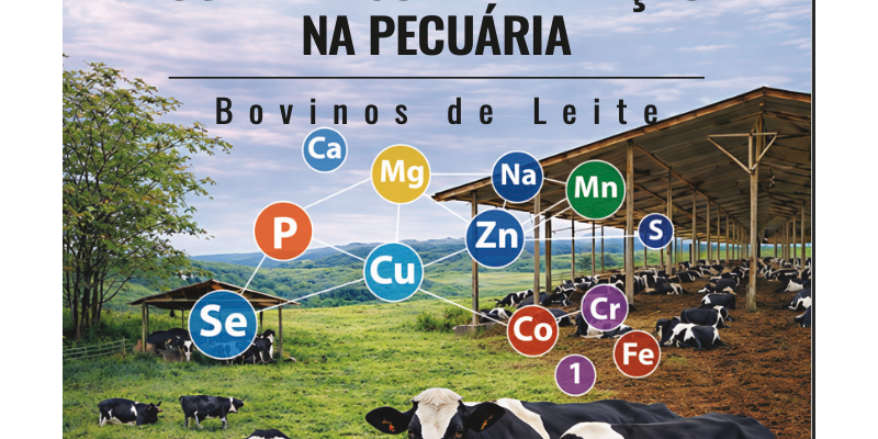 Guia Prático para a Correta Suplementação Pecuária de Bovinos de Leite - 2026