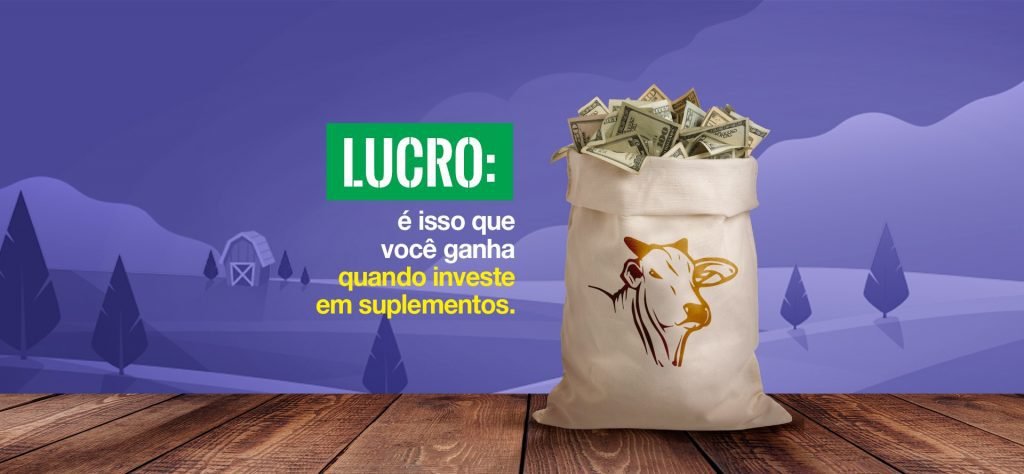 lucro_asbram