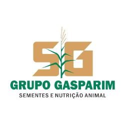 1_0000s_0047_Grupo Gasparim